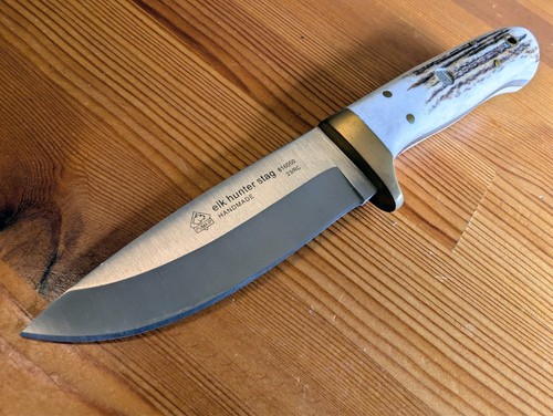 Puma elk hunter stag - elk,