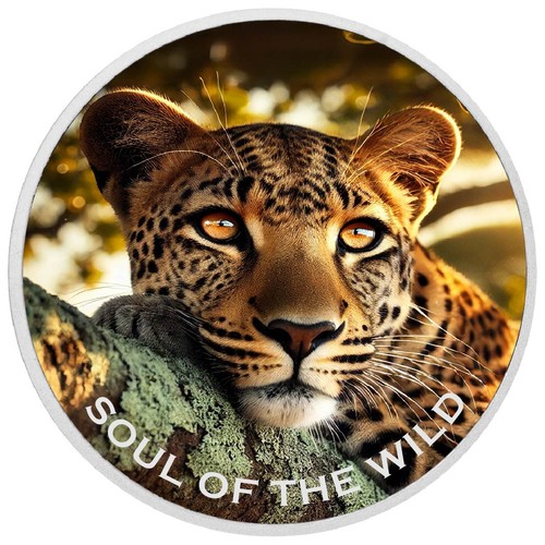 Golden gaze soul - soul, wild