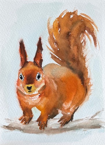 Eichhörnchen original - eichhörnchen,