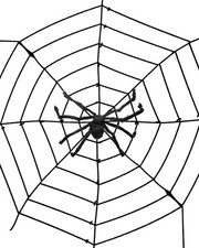 Riesen Spinnennetz mit ekliger