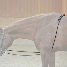 Kavalkade HO Longierhilfe Longier Hilfe Longieren