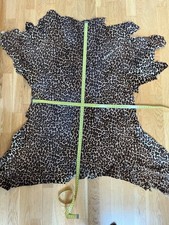 KALBFELL LEO DRUCK  ANIMAL