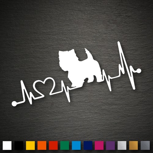 14309 west highland terrier - west,