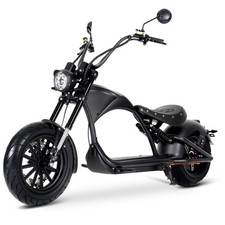 M1P E-Chopper mit COC EEC