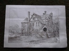 Antiker Druck Ivy Dale