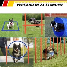 5-teiliges Agility Training