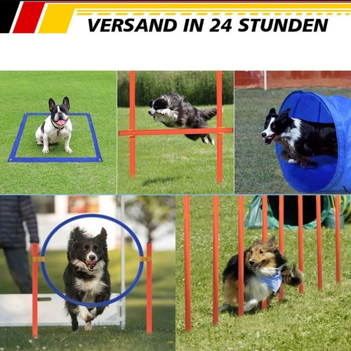 Teiliges agility training - 5-teiliges,