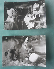 Konvolut  DDR Postkarten