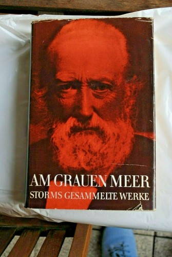 Theodor storm grauen meer - storm,,