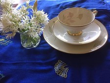 Rarität Winterling Röslau