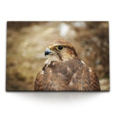 120x80cm wandbild auf leinwand - 120x80cm,
