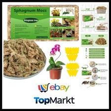 Sphagnum Moos Orchideen Terrarium Blumenerde Feuchtigkeitsspendend 200g