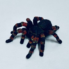 Schleich - 14829 Vogelspinne Tarantel - 7,5 cm lang - GUT  #1923