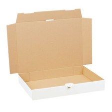 Maxibriefkartons Warensendung