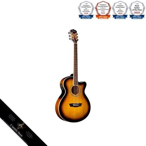 Washburn festival ea15 - washburn,