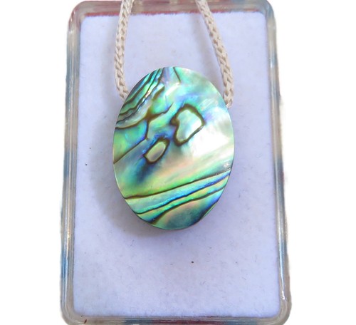 Paua muschel abalone - muschel, cabochon
