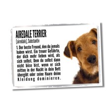 Airedale Terrier Duden Hund