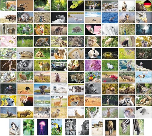 100 tierpostkarten mit - mit,
