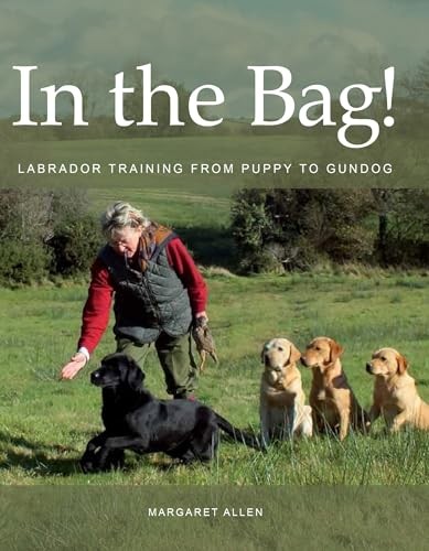 The bag labrador training - bag!:,