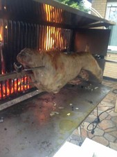 Großer 150 cm Spanferkel-Grill, Lamm-Grill,Hänchen-Grill, komplett aus Edelstahl