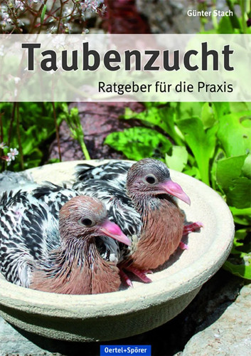 Taubenzucht günter stach - |,