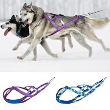 Neu hunde zuggeschirr - hunde,