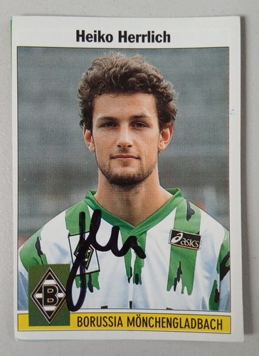 Heiko herrlich borussia - ,