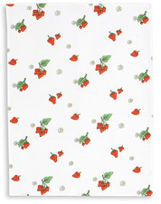 Geschirrtuch Halbleinen 50 x