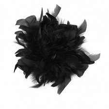 Feder Brosche 2-in-1