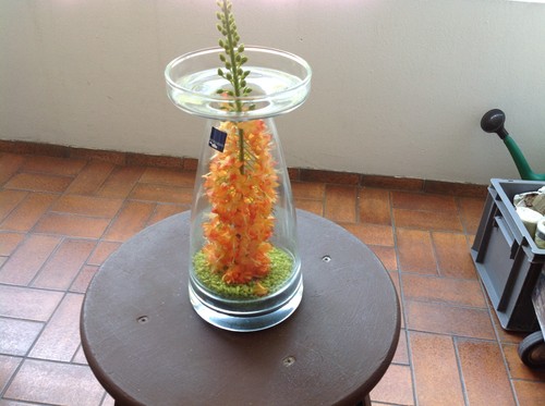Leonardo vase - leonardo,