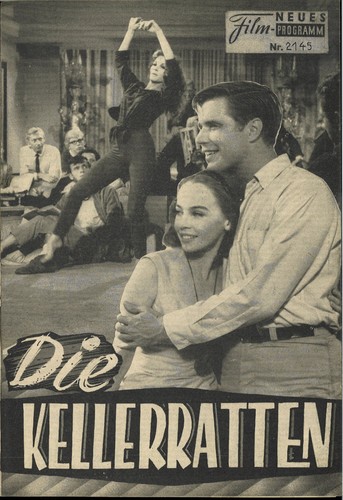 Nfp 2145 die kellerratten - die, |