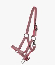 Qhp halfter jährling - qhp,