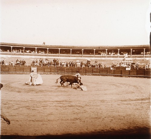 Torero spanien 1909 - spanien, foto