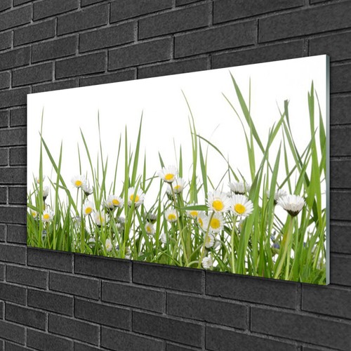 Acrylglasbilder 100x50