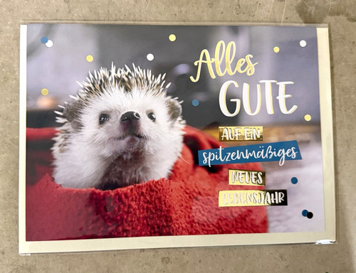 Xxl geburtstagskarte igel - xxl,