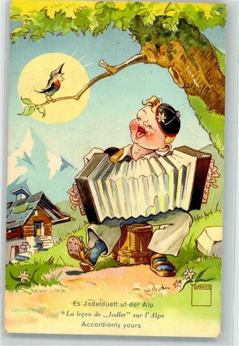 39598967 akkordeonspieler - -,