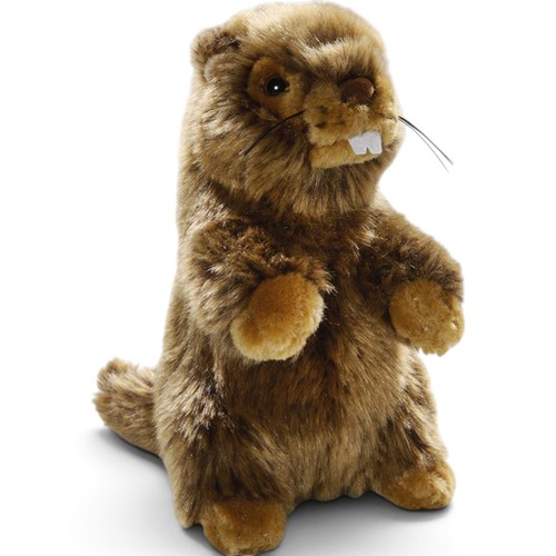 Carl dick murmeltier 17cm - carl, ca.