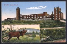 Brocken, Brockenhotel, Hirsch