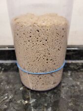 Roggen-Sauerteig, 80 g frisches-Anstellgut, Roggensauerteig.