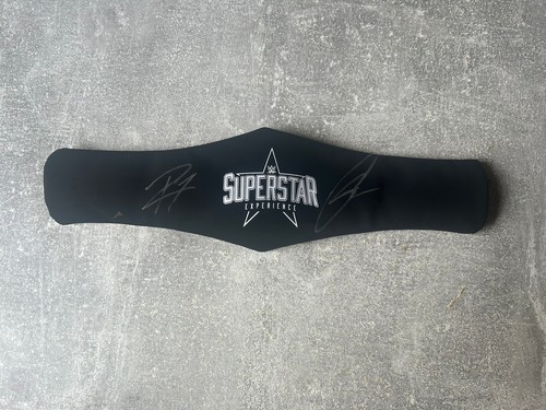 Wwe superstar experience - superstar,
