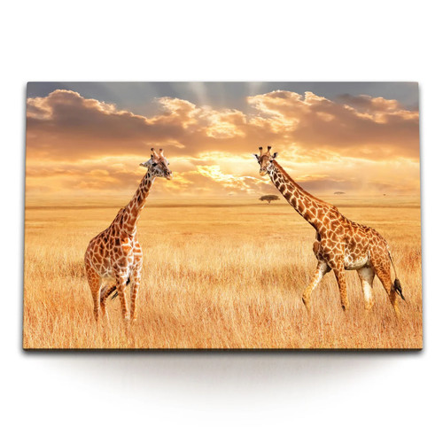 120x80cm wandbild auf leinwand - auf,