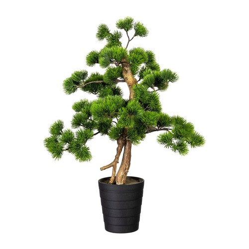Kunstpflanze bonsai kiefer - bonsai,