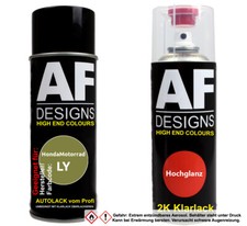 2K Spraydose Set für