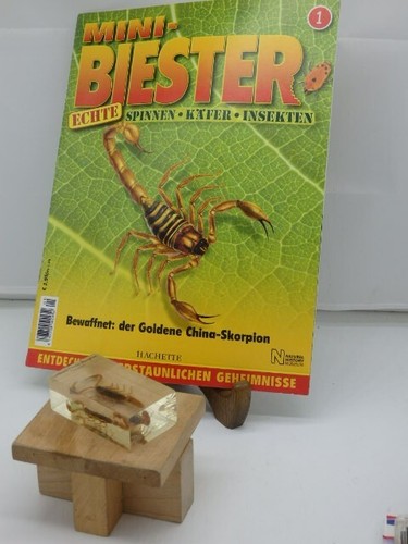 Mini biester heft - heft, der
