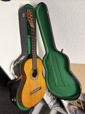 Classic Cantabile Acoustic