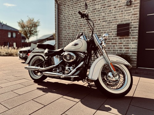Harley davidson softail - harley,