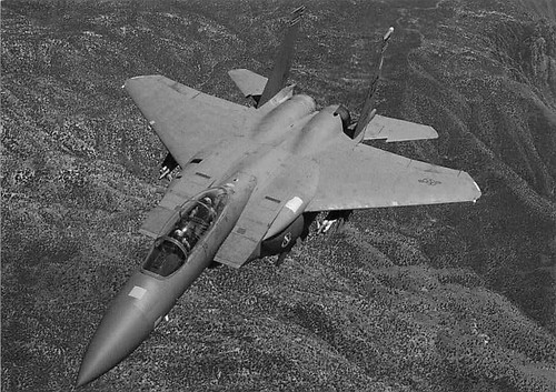 15e dual role strike - ak, dual-role