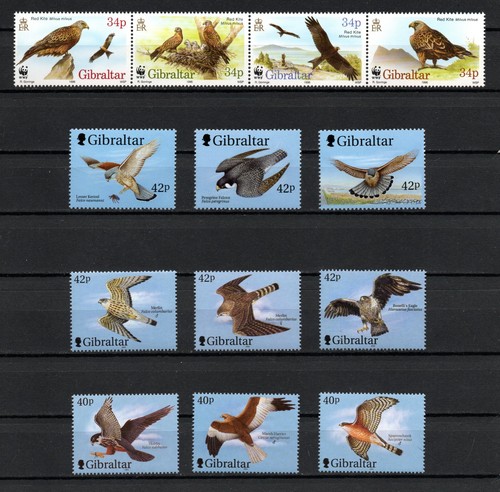 Birds prey - of,