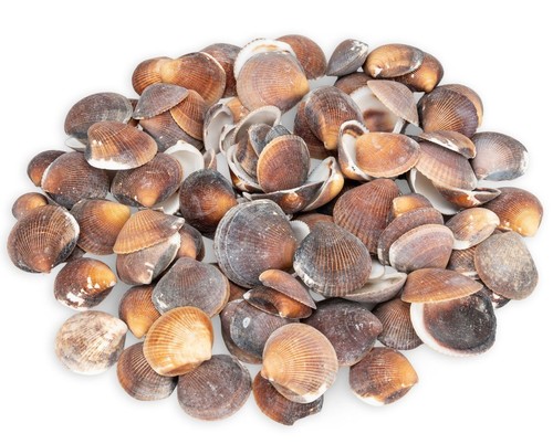 Nadeco asaphis deflorata 5kg - nadeco,