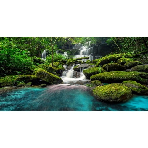 Aquarium terrarium hintergrund - aquarium,
